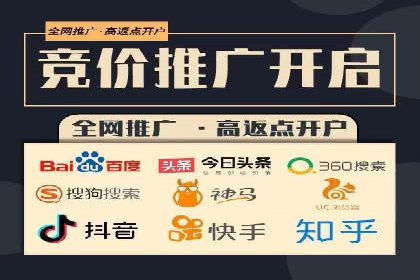 SEM广告投放中的数据监控与调整策略——以某品牌营销案例为例